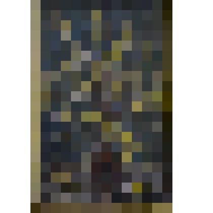 «Натюрморт с вербою». Картина