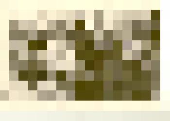 Фотография. Прием учащихся школы №7 в пионеры в честь дня рождения В.И.Ленина