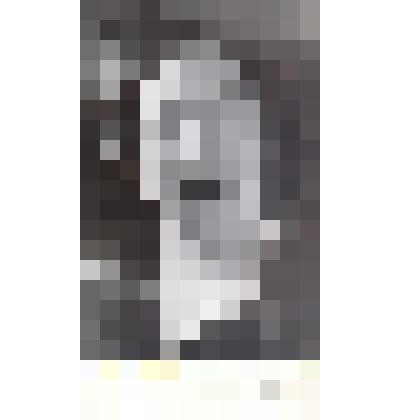 Фотография
"Гомбоева-Языкова Клавдия Ивановна"