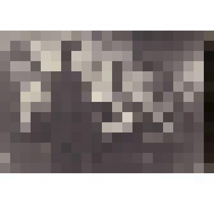 Фотография Михалков С.В., Барто А.Л., Андроников И.Л., Кассиль Л.А., неизвестные