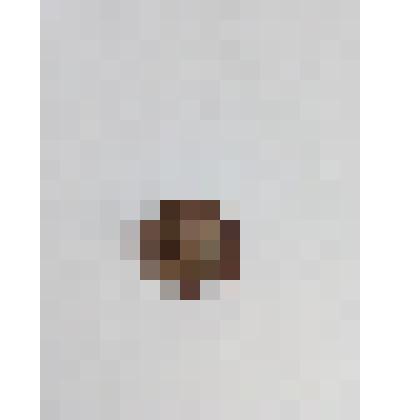 Пуговица мундирная