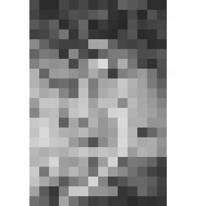 Большой дворец. Парадная лестница. Верхняя площадка. Фрагмент