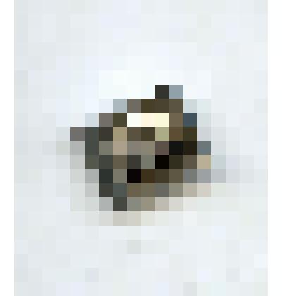 Значок с изображением  головы В.И.Ленина