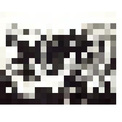 Фотография черно- белая; снимок групповой: 34 человека. Анастасия Максимовна Кашенцева с учениками 5 кл. шк. № 160