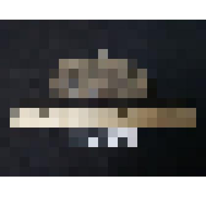 Скопление отпечатков листьев Podozamites sp