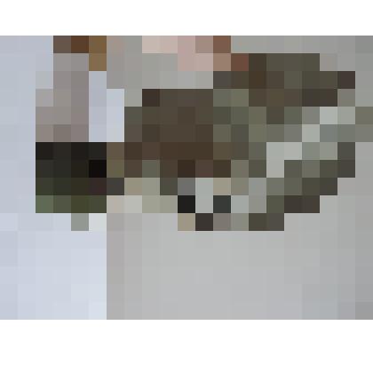 Противогаз