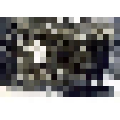 Фото. Работники магазина Ц.Р.К