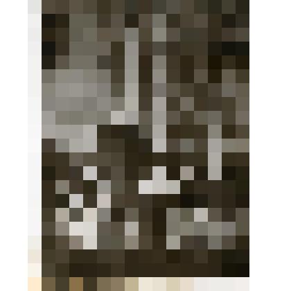 Фото чёрно белое сюжетное : поёт В.Н. Панкратов