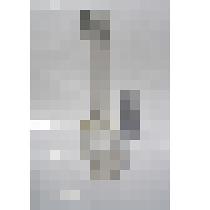 Стекло дя керосиновой лампы