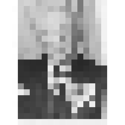 Фотография. Крымсалов В.А., участник Великой Отечественной войны