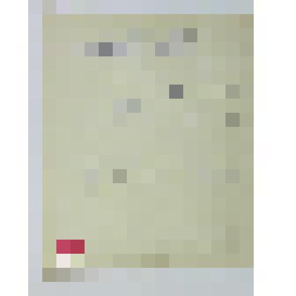 Фотокопия  с фотографии  Фрол Александрович и Федор Фролович       Александровы на привале