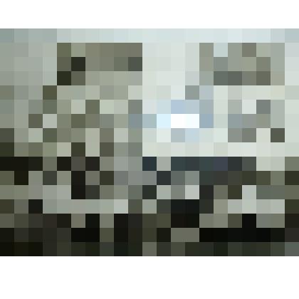 Фотография. А.П. Аверкин в пионерлагере "Дружба" 1954 год