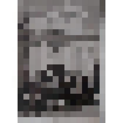 Фотопортрет групповой. Отдыхающие Дома отдыха "Бобрик-Донской" у входа в музей планетарий