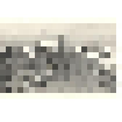 Фотография: панорама г.Камня-на-Оби Алтайского края