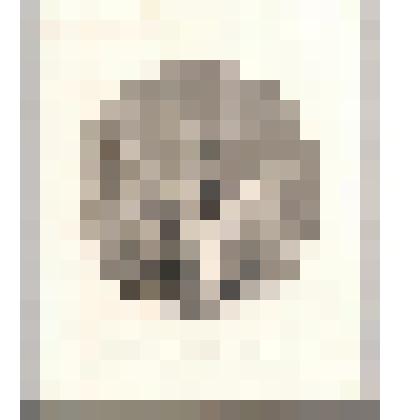 Гравюра. Мадонна с младенцем