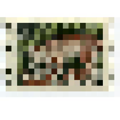 Марка почтовая. "Беловежская пуща. Рысь". 12 копеек