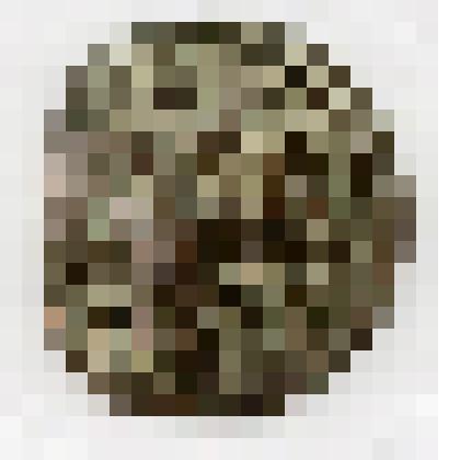 Монета. Российская империя