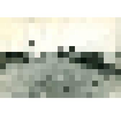 Фотография:территория Любинского ХПП