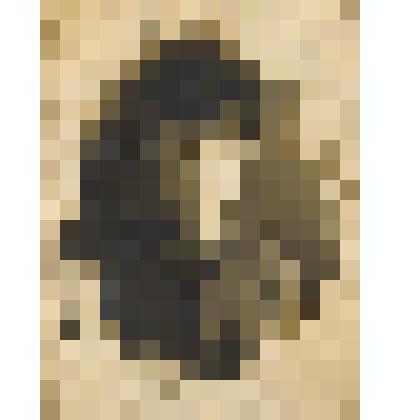 Фотография Горбатенкова Якова Сидоровича участника битвы под Москвой, боев на Малой Земле