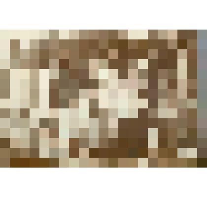 Фотография. Злата и Зюма Митусовы, Леня Марков и две девочки с няней