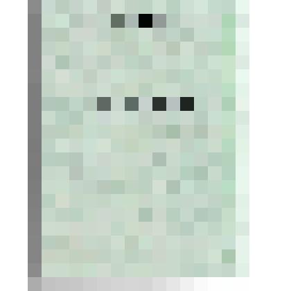 Книга Маннапова М.М.  "Переселение башкир Самарской губернии на юго-восток Башкортостана в первой половине ХХ века" Издательство "Гилем", 2008 г. 200 стр