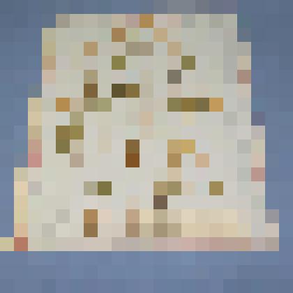 Ботаническая коллекция. Калужница болотная,  на гербарном листе,  правый берег Енисея у переправы. Ranunculaceae Caltha Polustris