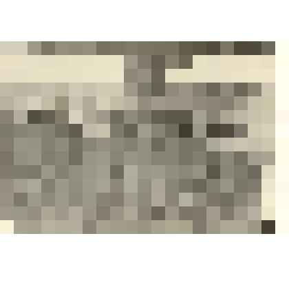 Фотография: совхоз "Октябрь" Каменского района Алтайского края. Первая борозда сделана трактористом Моисеевым Иваном Семеновичем на тракторе ДТ-54