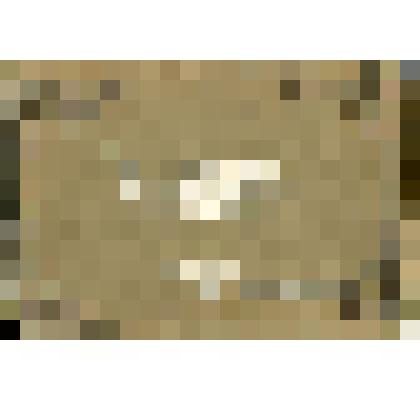 Альбом фотографий: "Кавказ.Souvenir de Kislowodsk"