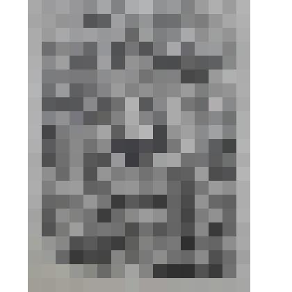 Портрет Ф. Шиллера