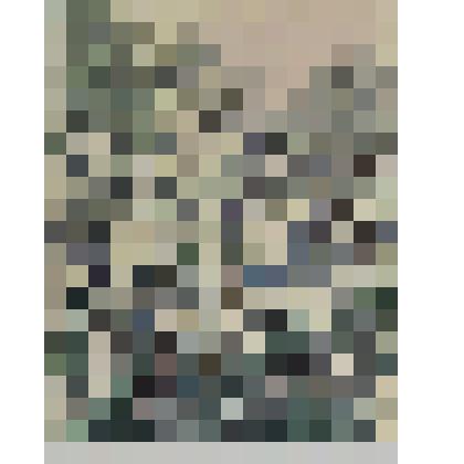 Акварель. Цветение