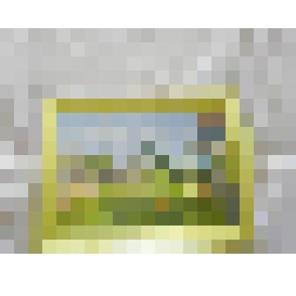 "Лето" Картина