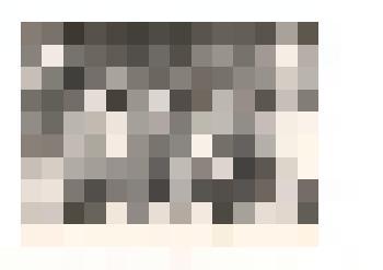 Фотография черно-белая. Женский коллектив колхоза "Путь к коммунизму" Тюменцевского района