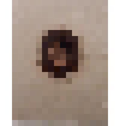 Литография «Napoléon»/ «Наполеон»