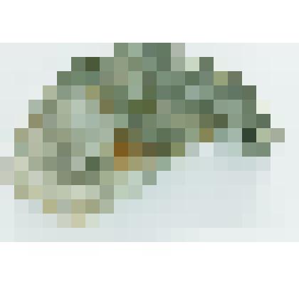 порода кимберлит