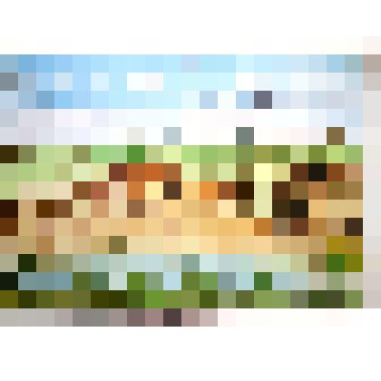 Рисунок "Крепость Валуйка"