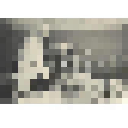 Фотографии. Фото ч/б. Заведующий хирургическим отделением Хакасской областной больницы Гергенредер Ф.А. в палате беседует с больными 60-ые гг. XX века