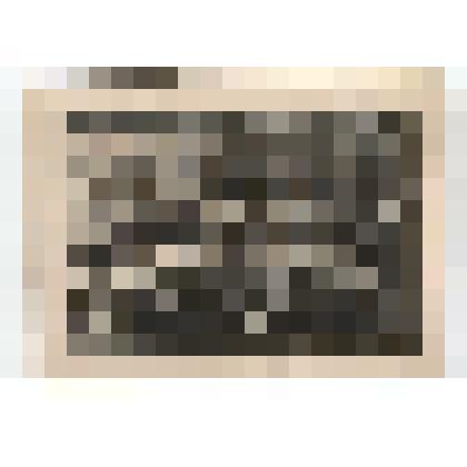 Фото/чб. Майор Махин Яков Прокопьевич, инструктор политотдела 17-й штурмовой инженерно-саперной Гатчинской Краснознаменной бригады (2 ряд 4 справа) среди однополчан после боя. д. Титово, Калининская обл. 1942