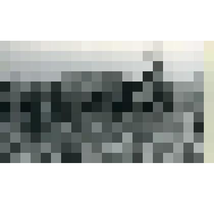 Фотография. Уборка урожая кукурузы. Лист 1