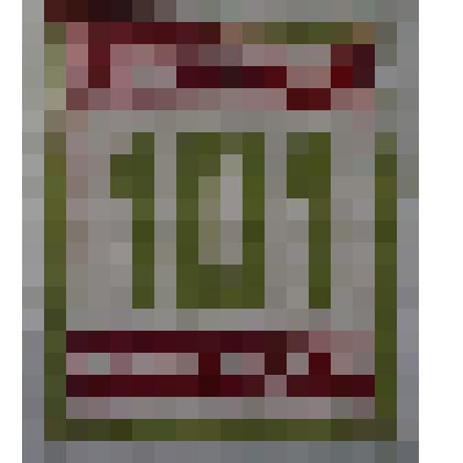 Номер нагрудный