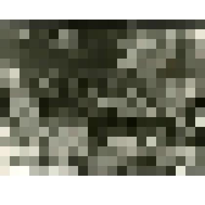 Фотография. Дом Гробовых № 49 на Нижней улице