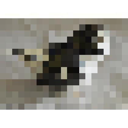 Скульптура (статуэтка) фарфоровая. Пуночка