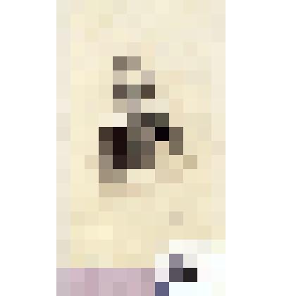 Фотография черно-белая. Пантелеев Владимир Ильич