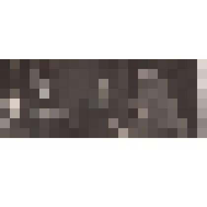 Фото из личного архива участника Великой Отечественной войны, ветерана милиции Целикова Анатолия Александровича. Вручение Целикову А.А. медали, 1968 год