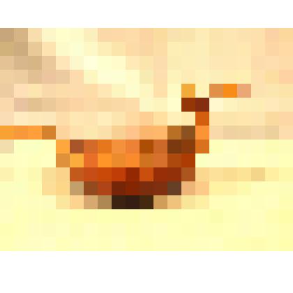 Ковш-скопкарь