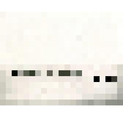 Фотография. По дороге на Ляховский остров