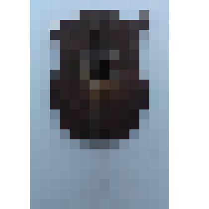 Значок «ХХХ лет комсомола» из коллекции, посвященной жизни и деятельности Ленина В.И