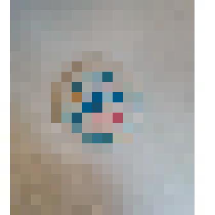 Значок "Всероссийская перепись населения 2010 год"