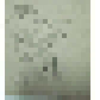 Греческие поселяне, из альбома "Зарисовки из римской истории". Рисунок