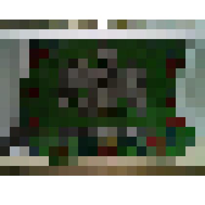 Большой орлец