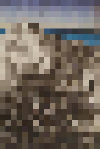 "На дюнах Неринги.2". Графика